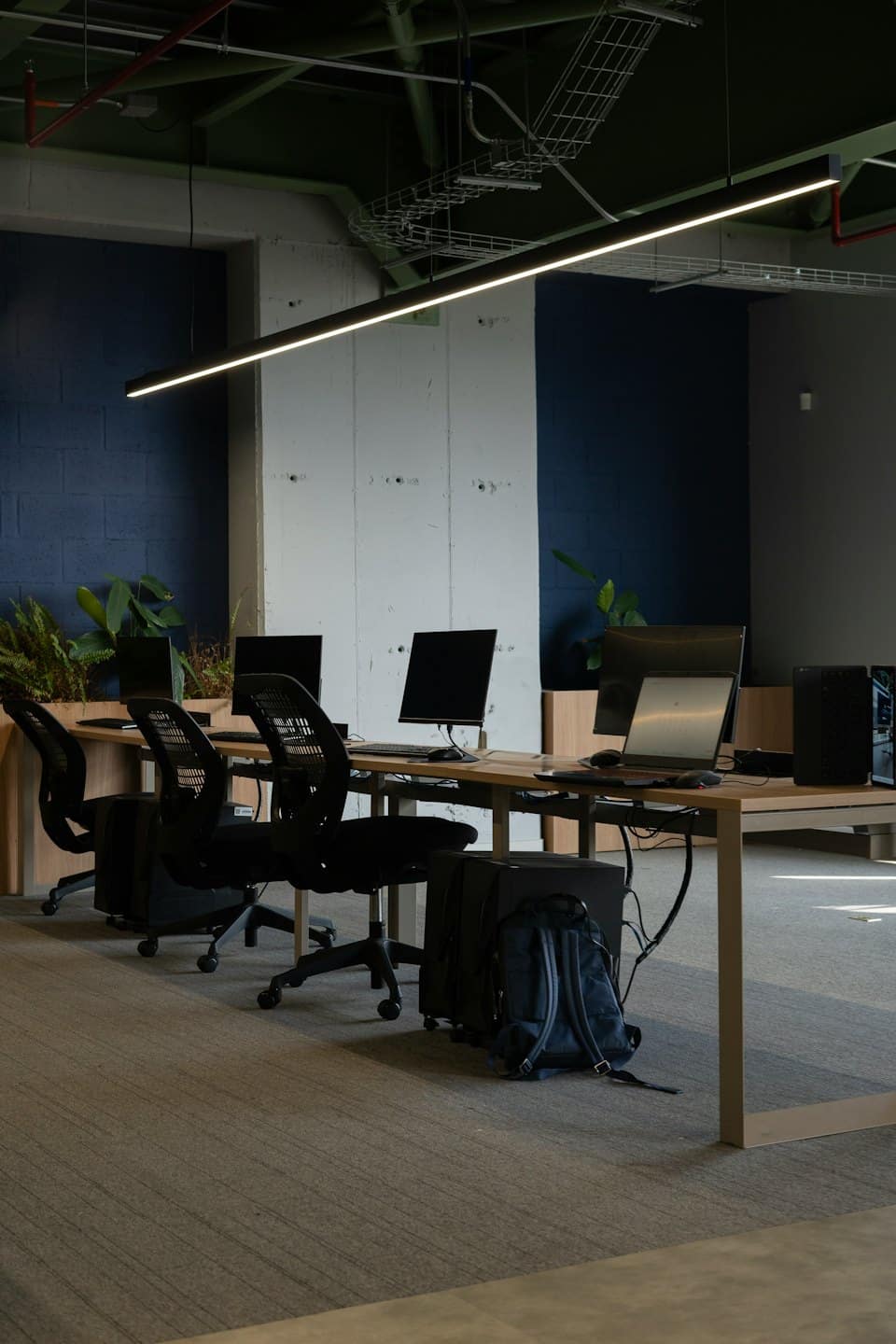 Ufficio moderno con postazioni di lavoro, computer e piante su moquette grigia.